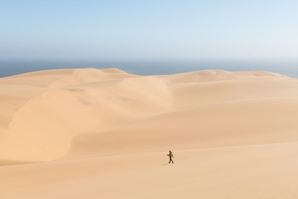 Unwind in the exclusivity of a desert resort